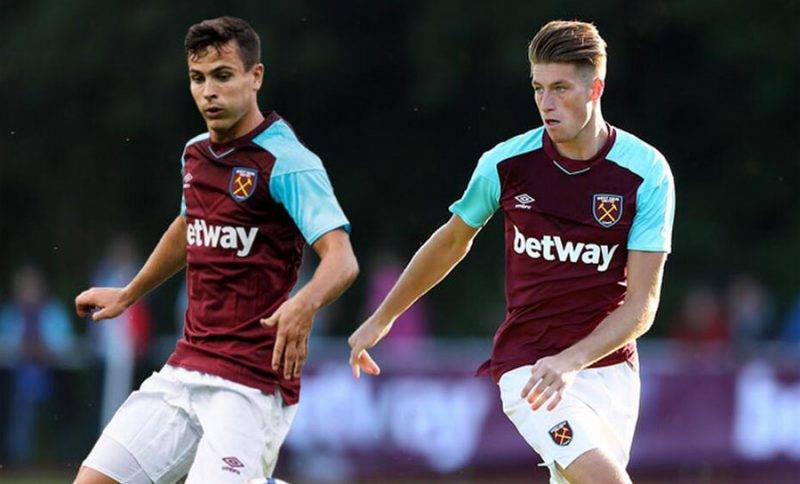 霍奇森顯示 霍奇森顯示